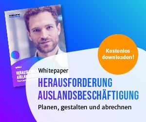 Kostenloses Whitepaper Herausforderung Auslandsbeschäftigung